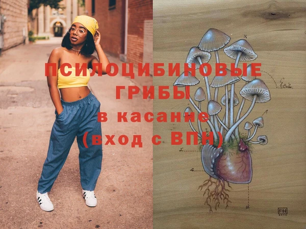 СК Алзамай