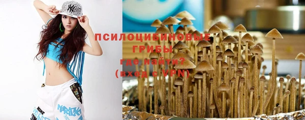 сатива Алексин