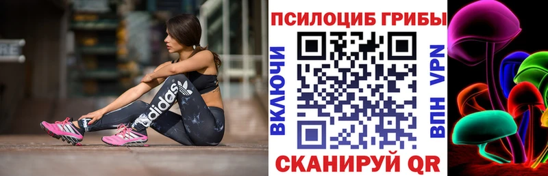 Галлюциногенные грибы мицелий  omg зеркало  Славск  продажа наркотиков 